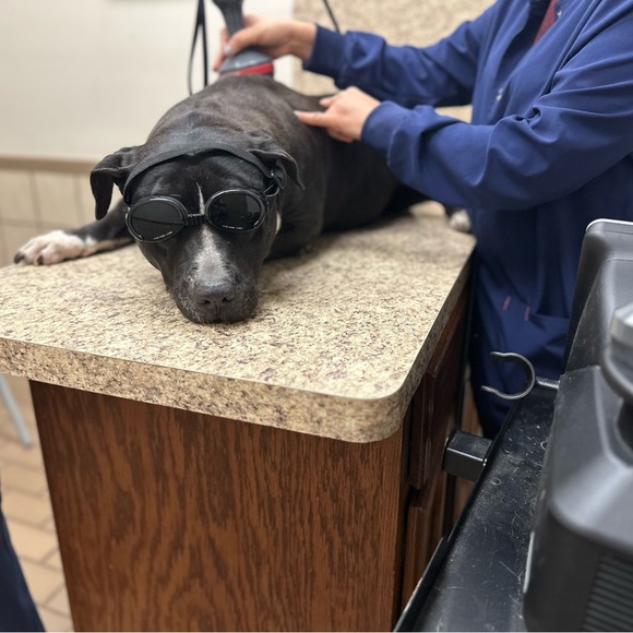 ๐ถ๐พLike to be notified when live.๐ถ๐พ (LIVE LISTING) - Picture 10 of 11